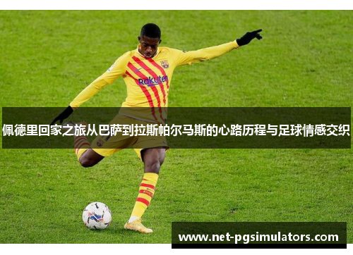 佩德里回家之旅从巴萨到拉斯帕尔马斯的心路历程与足球情感交织