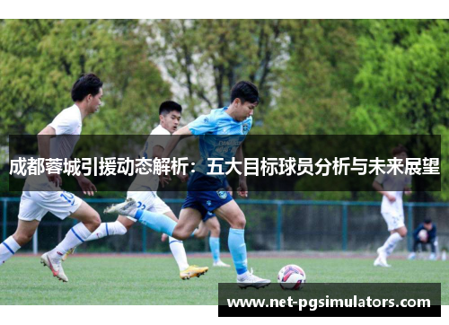 成都蓉城引援动态解析：五大目标球员分析与未来展望