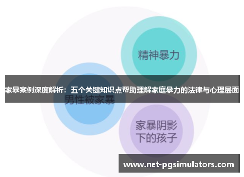 家暴案例深度解析：五个关键知识点帮助理解家庭暴力的法律与心理层面