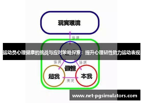 运动员心理健康的挑战与应对策略探索：提升心理韧性助力运动表现