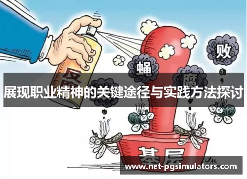 展现职业精神的关键途径与实践方法探讨