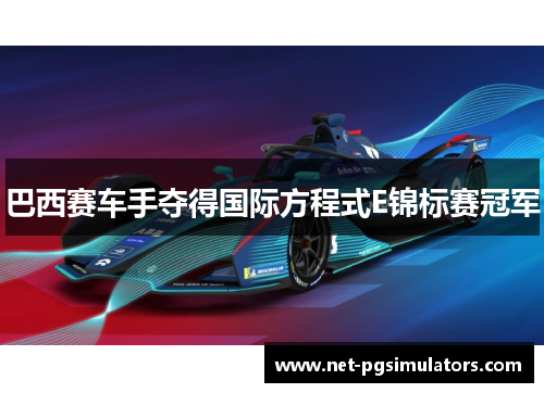 巴西赛车手夺得国际方程式E锦标赛冠军